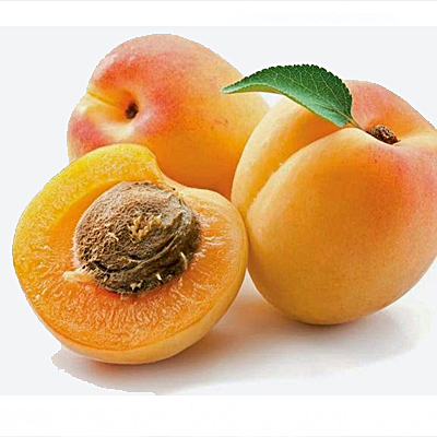 Fresh Apricot